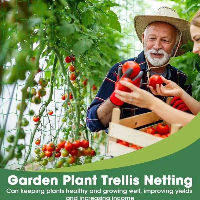 Trellis Netting Durable Garden Netting for Climbing Plants Heavy-Duty Elastic Plant Net Sturdy Grow Net Mesh Net for Beans