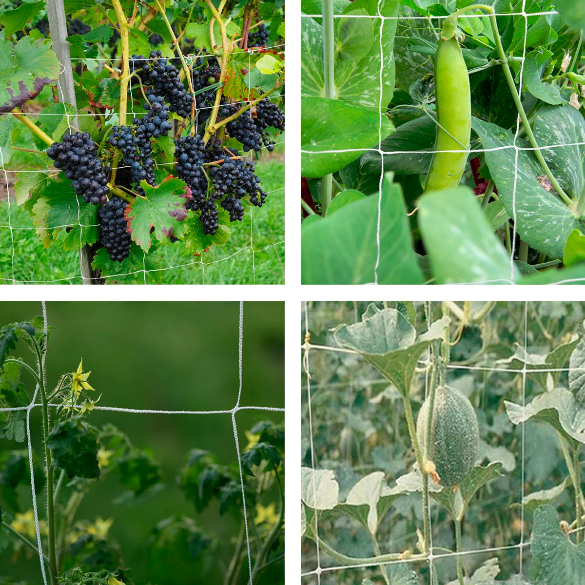 5*60ft Flora Trellis Netting ,Garden Flora Plant Support Stand For Floras Vegetables Fruits Flowers Climbing Net Gardening Tools