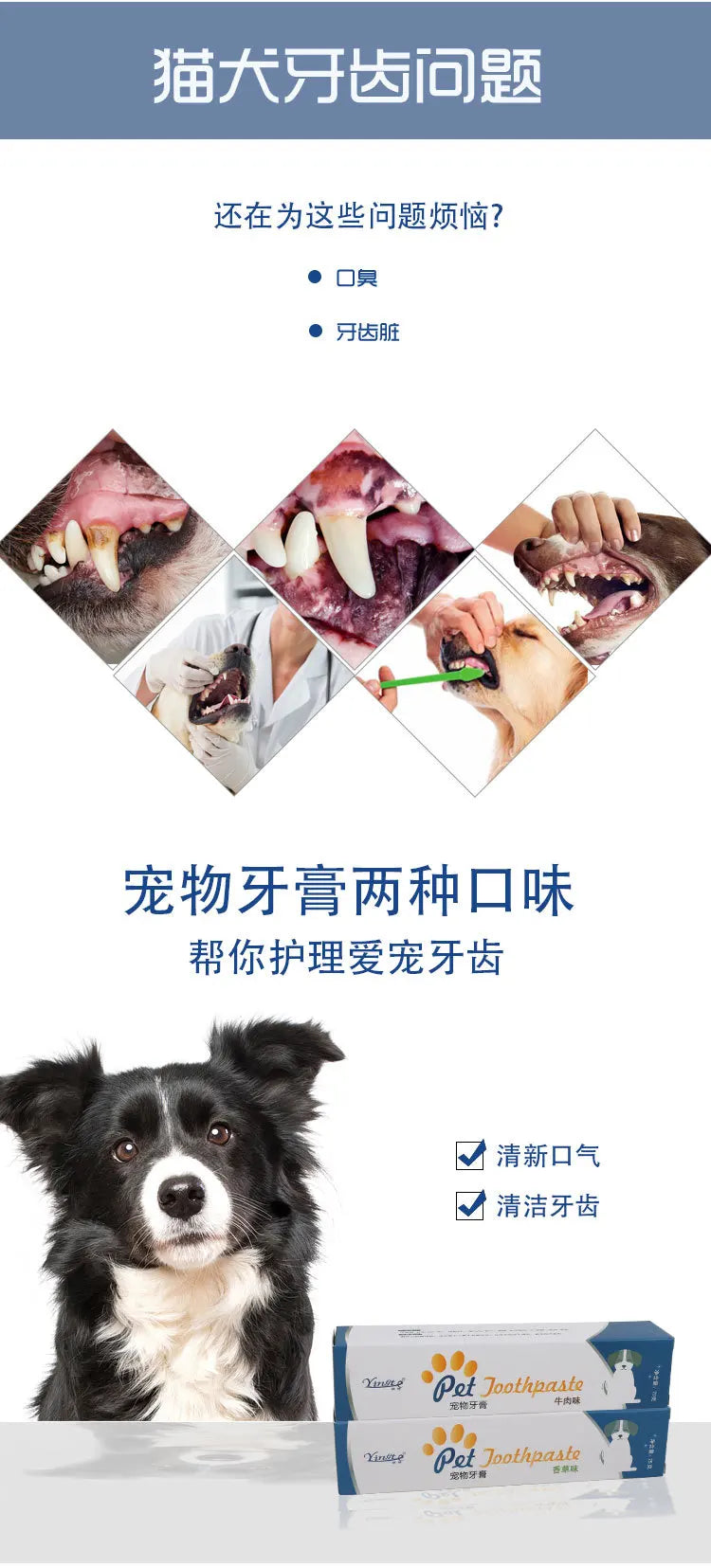Edible Pet Toothpaste Enzymatic Dental Care Teeth Cleaning Gel Vanilla Beef Flavor Oral Hygiene Kit Puppy Kitten Care Supplies