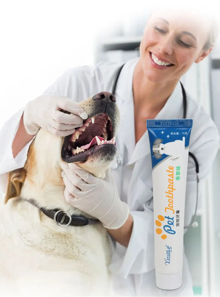 Edible Pet Toothpaste Enzymatic Dental Care Teeth Cleaning Gel Vanilla Beef Flavor Oral Hygiene Kit Puppy Kitten Care Supplies