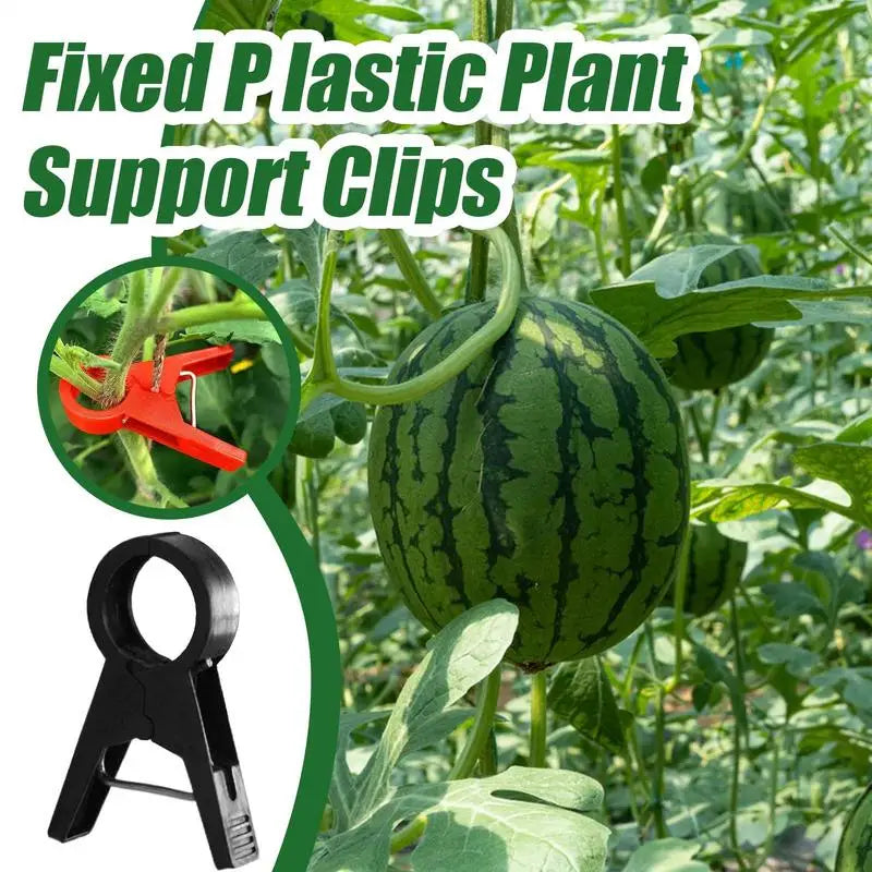Tomato Plant Clips 100 Pieces Tomatoes Clips Plant Stem Support Gardening Supplies Climbing Plant Clip Reusable For