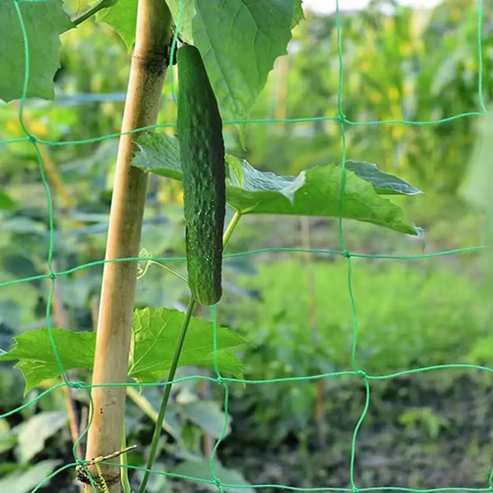 Trellis Netting Durable Garden Netting for Climbing Plants Heavy-Duty Elastic Plant Net Sturdy Grow Net Mesh Net for Beans