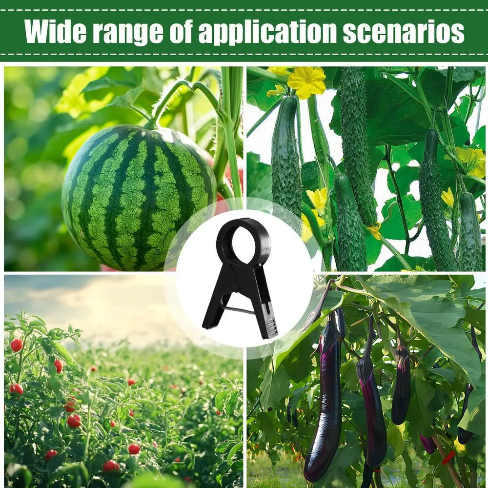 Tomato Plant Clips 100 Pieces Tomatoes Clips Plant Stem Support Gardening Supplies Climbing Plant Clip Reusable For