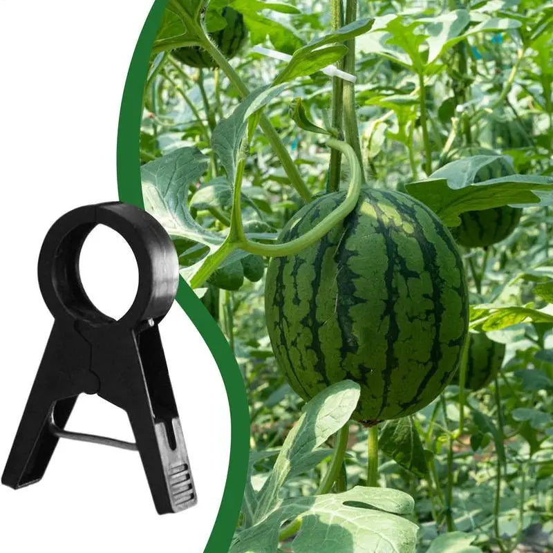 Tomato Plant Clips 100 Pieces Tomatoes Clips Plant Stem Support Gardening Supplies Climbing Plant Clip Reusable For