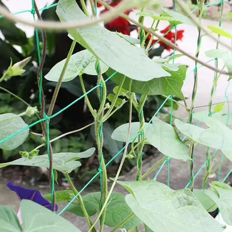 Trellis Netting Durable Garden Netting for Climbing Plants Heavy-Duty Elastic Plant Net Sturdy Grow Net Mesh Net for Beans