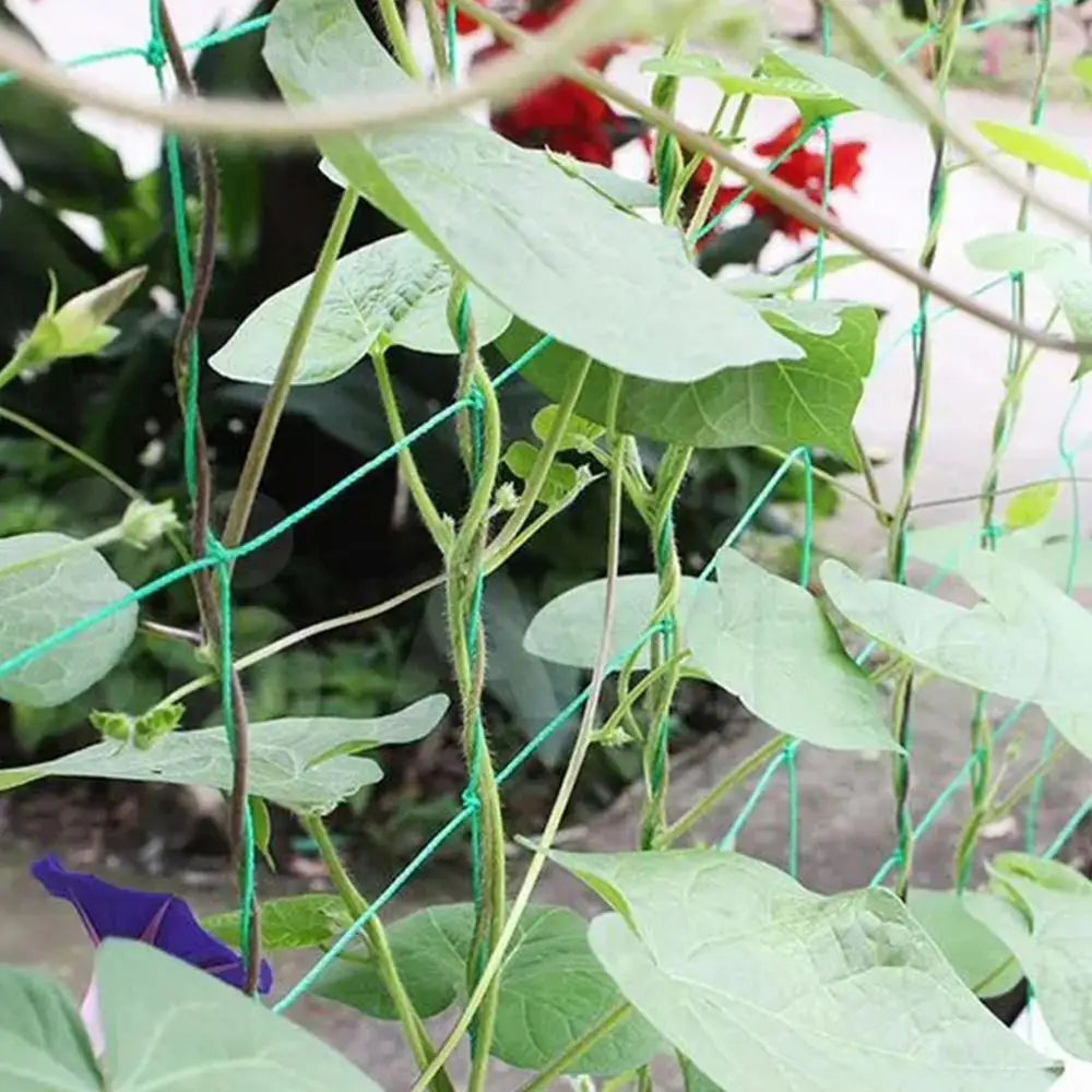 Trellis Netting Durable Garden Netting for Climbing Plants Heavy-Duty Elastic Plant Net Sturdy Grow Net Mesh Net for Beans