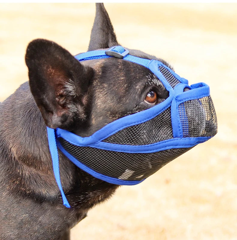 Dog Muzzle for Short-snouted Dogs Preventing Barking French Bulldogs Breathable Muzzle Prevent Accidental Ingestion Pet Products