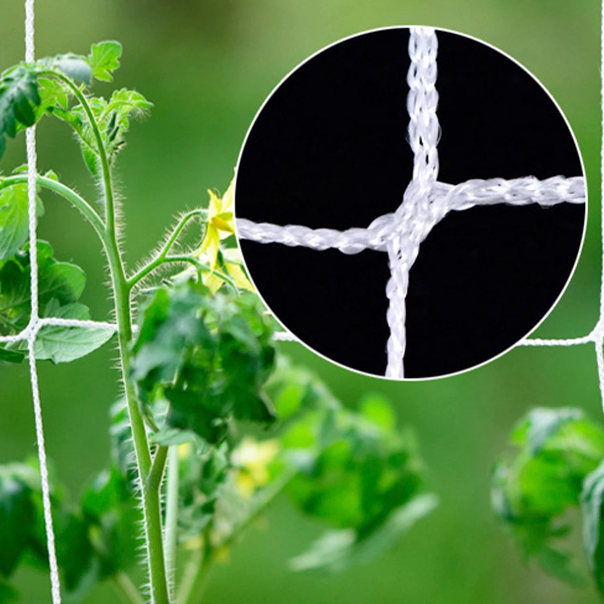 5*60ft Flora Trellis Netting ,Garden Flora Plant Support Stand For Floras Vegetables Fruits Flowers Climbing Net Gardening Tools